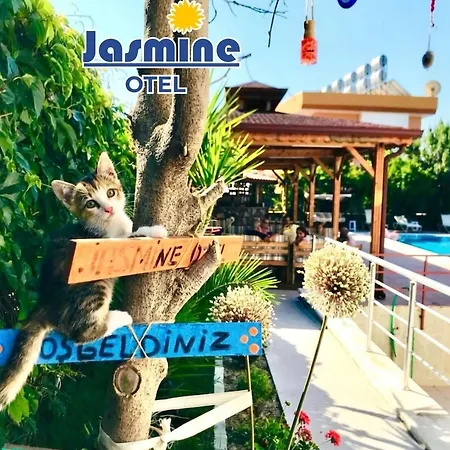 Jasmine Hotel *